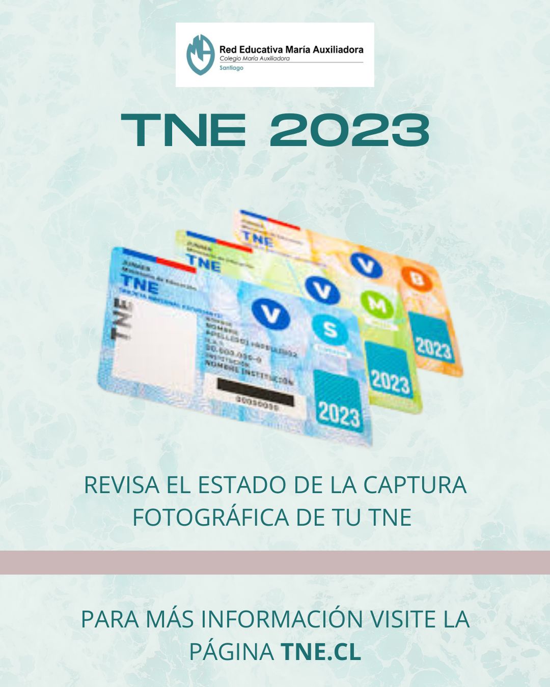 TNE 2023 1
